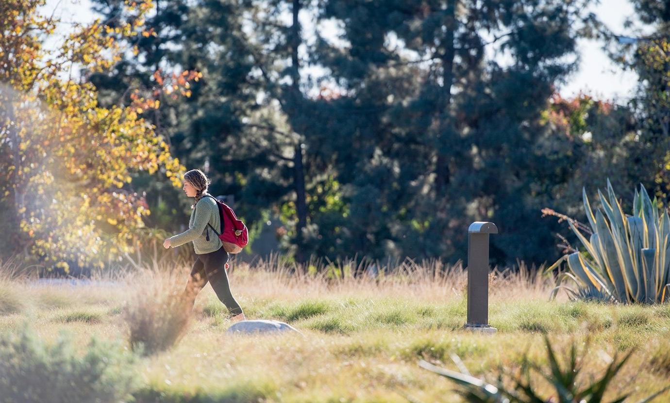 a lone student walks across holden garden