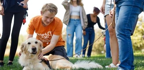 A Pitzer student pets a golden retriever during a wellness program on campus